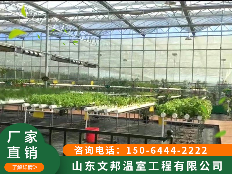 江苏种植园薄膜连栋温室